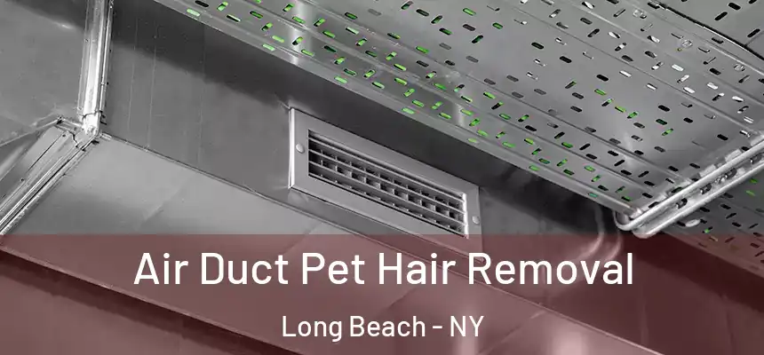  Air Duct Pet Hair Removal Long Beach - NY