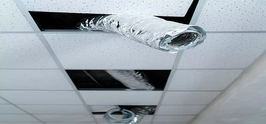 Affordable HVAC Sanitizing After Pest Removal in Long Beach