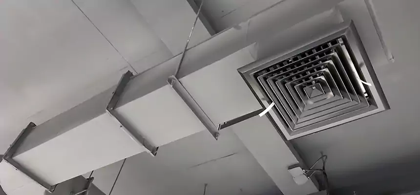 Our Pest Removal From Ducts Services in Long Beach, NY