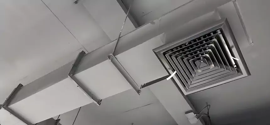 Our Rodent Droppings In Vents Services in Long Beach, NY