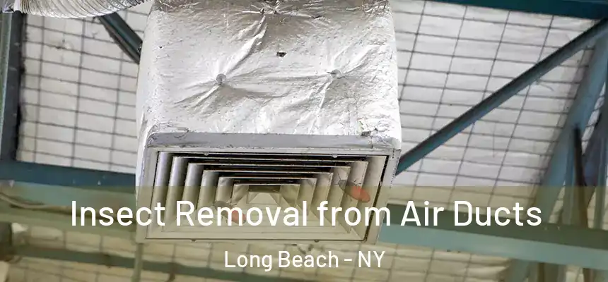 Insect Removal from Air Ducts Long Beach - NY