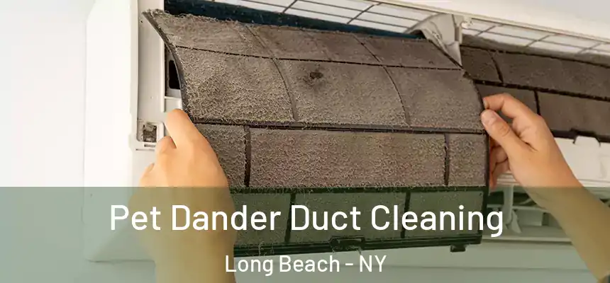 Pet Dander Duct Cleaning Long Beach - NY