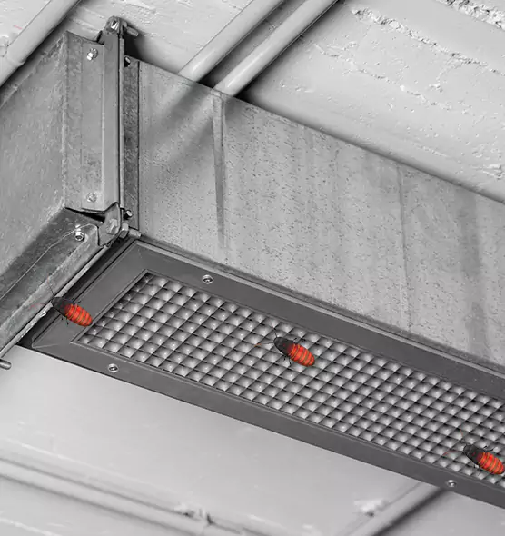 About Air Duct Cockroach Removal in Long Beach, NY