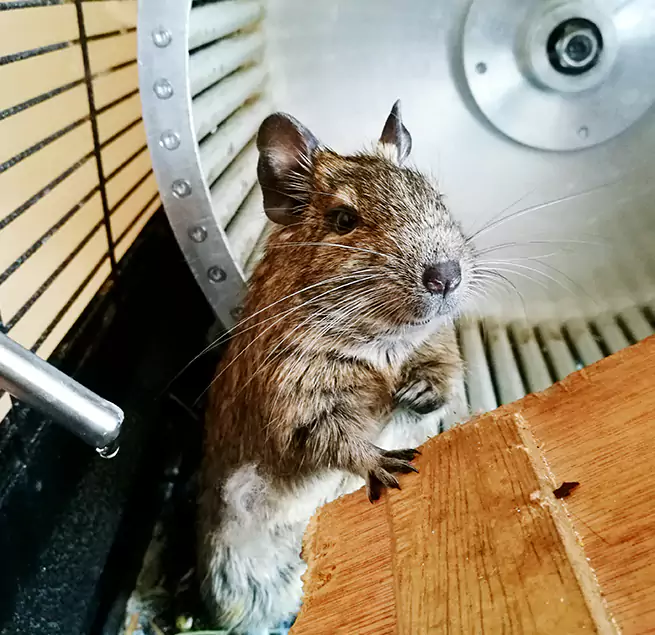 Why Homeowners & Businesses Trust Us Long Beach, NY